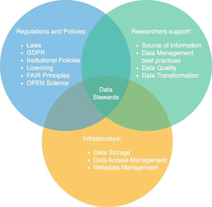 Data Steward Responsibilities